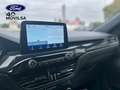 Ford Kuga Plug-in Híbrido K2.5 Duratec PHEV ST-Line X 4x2 Azul - thumbnail 4