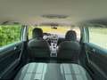 Volkswagen Golf VII Allstar BMT/Tüv/Klima/Tempo/SHZ Wit - thumbnail 20
