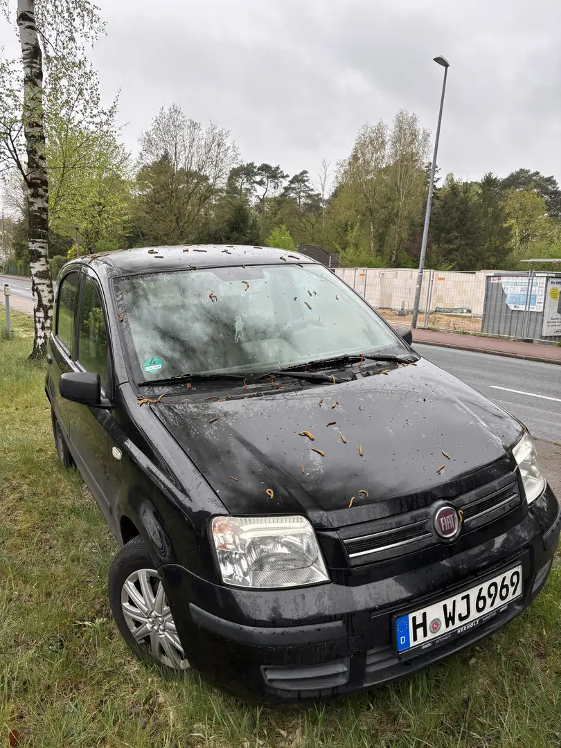 Fiat Panda 1.2 4x4 - 1