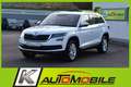 Skoda Kodiaq 2.0 TDI 4x4 Style LED+STHZ+Entry+DAB+AHK Weiß - thumbnail 1