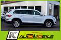 Skoda Kodiaq 2.0 TDI 4x4 Style LED+STHZ+Entry+DAB+AHK Weiß - thumbnail 2