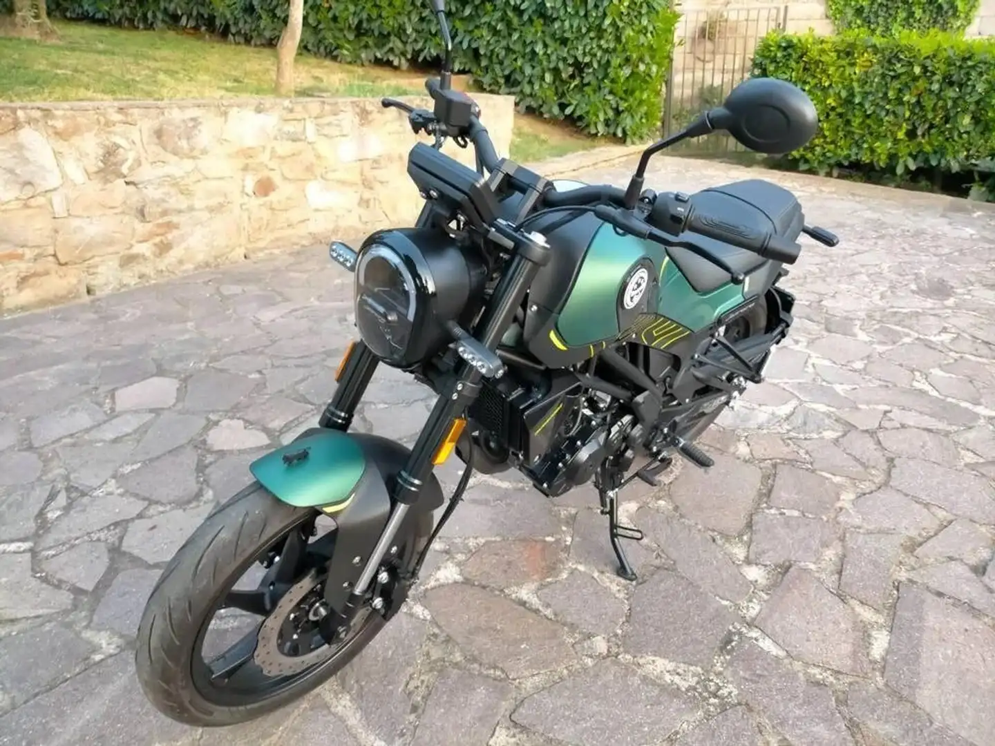 Benelli Leoncino Зелений - 2