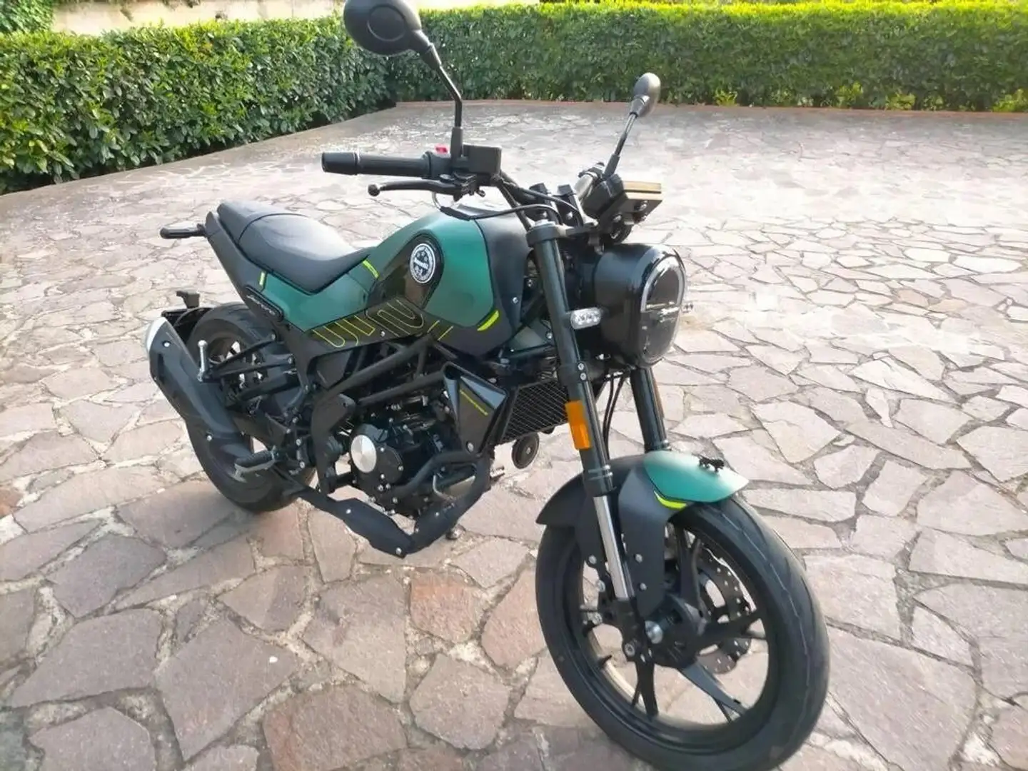 Benelli Leoncino Зелений - 1