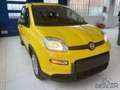 Fiat Panda Panda 1.0 FireFly S&S Hybrid Pop Gelb - thumbnail 1