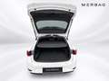 SEAT Leon SP Weiß - thumbnail 5