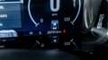 Ford F 150 Shelby Supercharged Schwarz - thumbnail 39