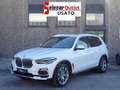 BMW X5 xDrive30d xLine auto Blanc - thumbnail 1