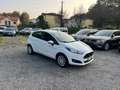 Ford Fiesta Fiesta 1.4 5 porte Bz.- GPL Business*NEOPATENTATI Weiß - thumbnail 3
