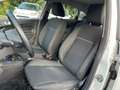Ford Fiesta Fiesta 1.4 5 porte Bz.- GPL Business*NEOPATENTATI Weiß - thumbnail 7