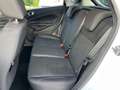 Ford Fiesta Fiesta 1.4 5 porte Bz.- GPL Business*NEOPATENTATI Weiß - thumbnail 15