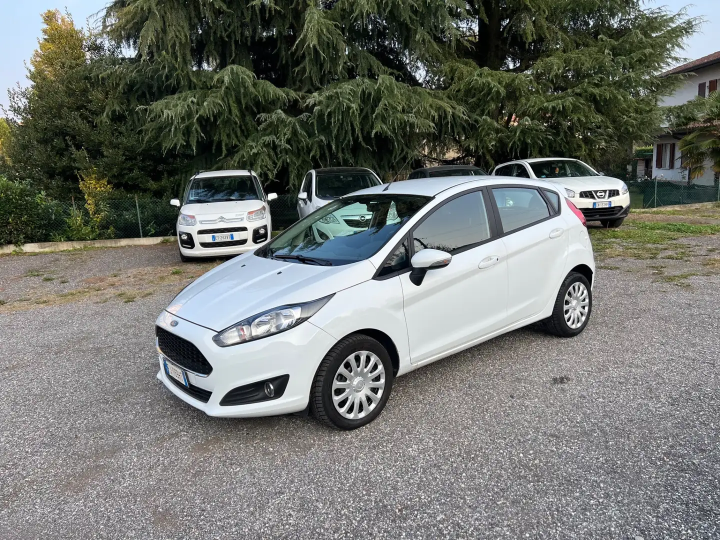 Ford Fiesta Fiesta 1.4 5 porte Bz.- GPL Business*NEOPATENTATI Weiß - 1