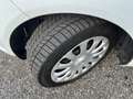 Ford Fiesta Fiesta 1.4 5 porte Bz.- GPL Business*NEOPATENTATI Weiß - thumbnail 14