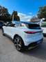 Renault Megane E-Tech Megane E-Tech Electric Iconic Weiß - thumbnail 5