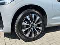 Volvo XC60 B4 Diesel AWD Plus Dark 19'' Allwetter AHK StandHZ Grau - thumbnail 9