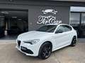 Alfa Romeo Stelvio Stelvio 2020 2.0 t Veloce Ti Q4 280cv auto Bianco - thumbnail 7