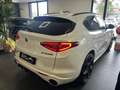 Alfa Romeo Stelvio Stelvio 2020 2.0 t Veloce Ti Q4 280cv auto Bianco - thumbnail 4