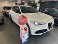 Alfa Romeo Stelvio Stelvio 2020 2.0 t Veloce Ti Q4 280cv auto Bianco - thumbnail 3