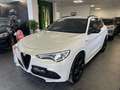 Alfa Romeo Stelvio Stelvio 2020 2.0 t Veloce Ti Q4 280cv auto Bianco - thumbnail 1
