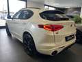 Alfa Romeo Stelvio Stelvio 2020 2.0 t Veloce Ti Q4 280cv auto Bianco - thumbnail 6