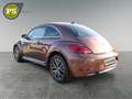 Volkswagen Beetle Sound Design BMT Navi Klima  SHZ Temp PDC Bronze - thumbnail 5