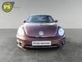 Volkswagen Beetle Sound Design BMT Navi Klima  SHZ Temp PDC Bronze - thumbnail 6