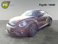 Volkswagen Beetle Sound Design BMT Navi Klima  SHZ Temp PDC Bronze - thumbnail 1