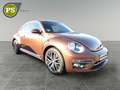 Volkswagen Beetle Sound Design BMT Navi Klima  SHZ Temp PDC Bronze - thumbnail 4