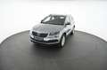 Skoda Karoq 1.6 TDI Style Limited DSG Pickerl NEU Grau - thumbnail 11