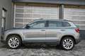 Skoda Karoq 1.6 TDI Style Limited DSG Pickerl NEU Grau - thumbnail 6