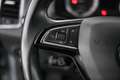 Skoda Karoq 1.6 TDI Style Limited DSG Pickerl NEU Grau - thumbnail 27