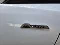 Ford Fiesta 1.0 EcoBoost Active X Navigatie/ LM velgen/ Parkee Wit - thumbnail 10