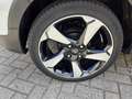 Ford Fiesta 1.0 EcoBoost Active X Navigatie/ LM velgen/ Parkee Wit - thumbnail 5