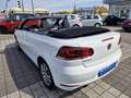 Volkswagen Golf VI Cabriolet 1,2TSI - 1. Hand - 81 200 KM Weiß - thumbnail 8