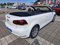 Volkswagen Golf VI Cabriolet 1,2TSI - 1. Hand - 81 200 KM Weiß - thumbnail 6
