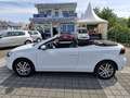 Volkswagen Golf VI Cabriolet 1,2TSI - 1. Hand - 81 200 KM Weiß - thumbnail 1