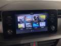 Skoda Scala 1.0 TSI Ambition 81kW Gris - thumbnail 18
