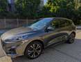 Ford Kuga 2,5 Duratec PHEV ST-Line X Grau - thumbnail 1