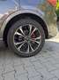 Ford Kuga 2,5 Duratec PHEV ST-Line X Grau - thumbnail 9