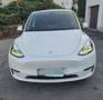 Tesla Model Y Model Y Long Range AWD 79kWh Weiß - thumbnail 1