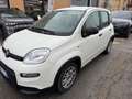 Fiat Panda 1.0 FireFly S&S Hybrid Bianco - thumbnail 3