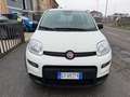 Fiat Panda 1.0 FireFly S&S Hybrid Bianco - thumbnail 1