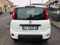 Fiat Panda 1.0 FireFly S&S Hybrid Bianco - thumbnail 6