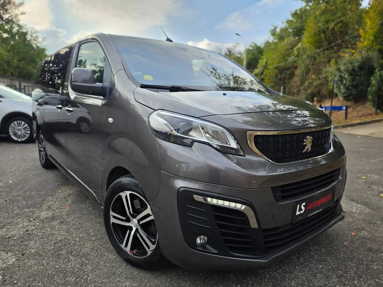 Peugeot Traveller