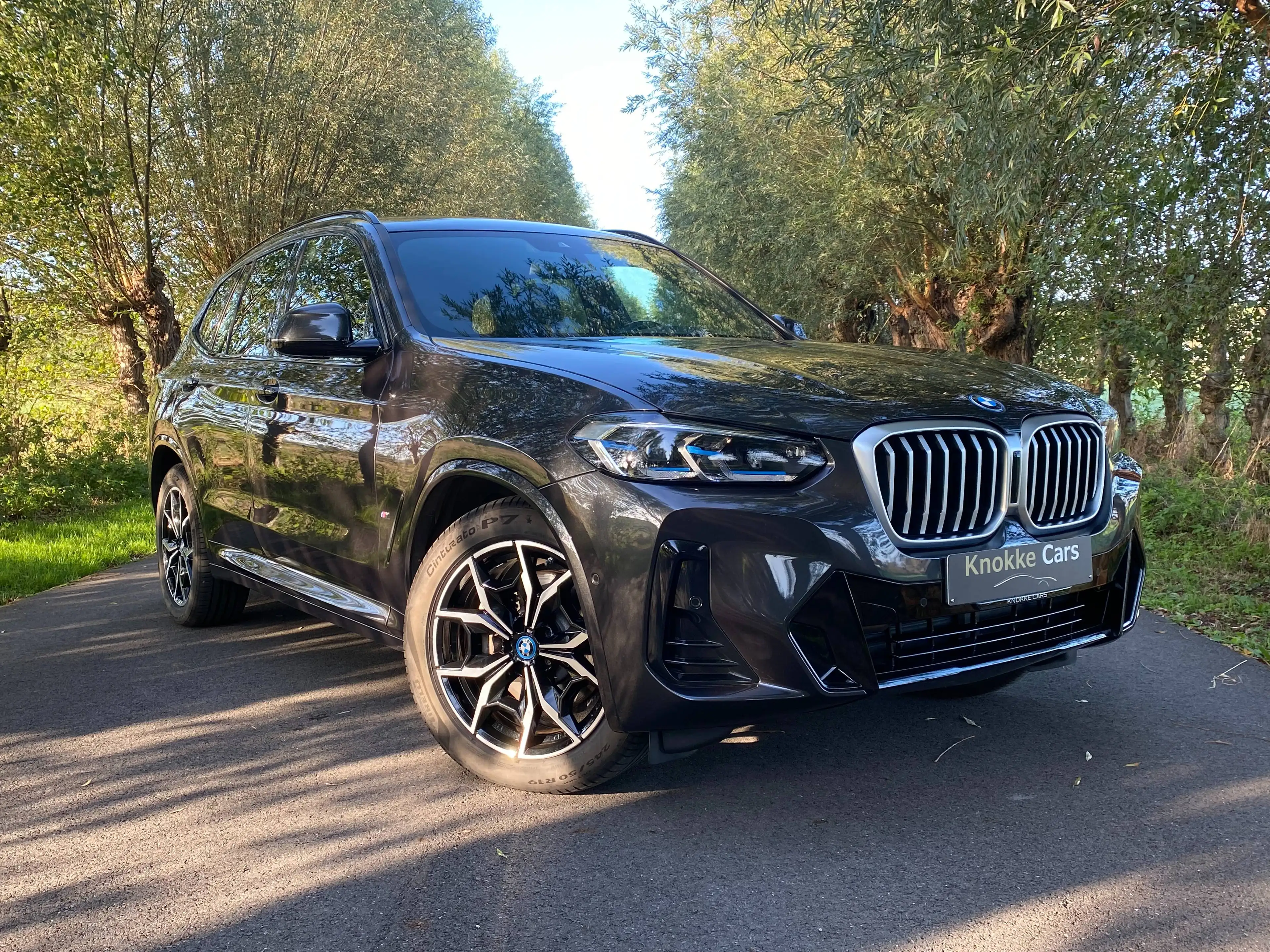 BMW X3 2.0i xDrive30e,Parkeerhulp met camera,Head-Up Display,Trekhaak,Sfeerverlichting