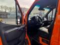Mercedes-Benz Sprinter 317 CDI Lang Hoch/Klima/Kamera/AHK 3,5T Oranje - thumbnail 11