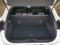 Ford Puma ST-Line X Navi Kamera B&O Winterp.  LED 1Ha Blanc - thumbnail 13