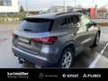 Mercedes-Benz GLA 250 GLA 250 e AHK+LED+NightP+RfK+Totw+Apple+MBUX+DAB Gris - thumbnail 6