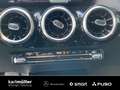 Mercedes-Benz GLA 250 GLA 250 e AHK+LED+NightP+RfK+Totw+Apple+MBUX+DAB Gris - thumbnail 20