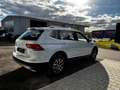 Volkswagen Tiguan Tiguan Allsp 4Motion Virtual ACC Kamera AHK Silber - thumbnail 5