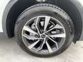 Audi Q5 40 TDI 204 CV quattro S tronic Business Advanced Bianco - thumbnail 5